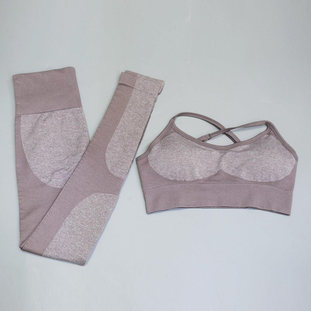 Seamless Fitness Bra & Leggings