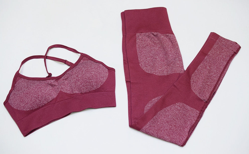 Seamless Fitness Bra & Leggings