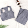 Seamless Fitness Bra & Leggings