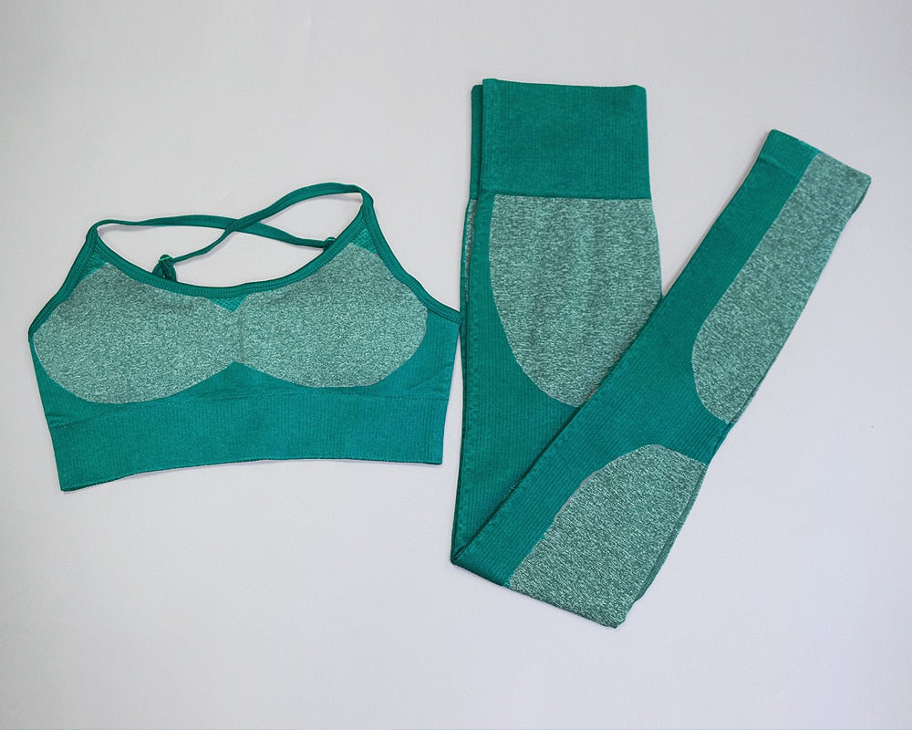 Seamless Fitness Bra & Leggings