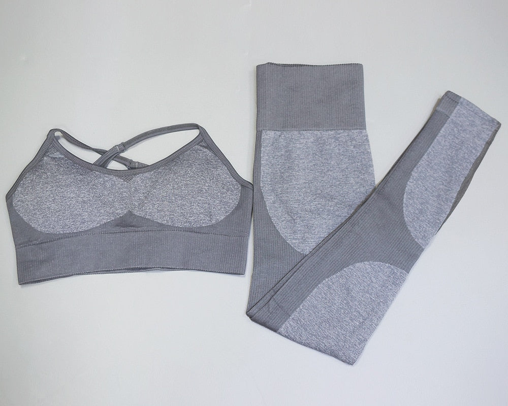 Seamless Fitness Bra & Leggings