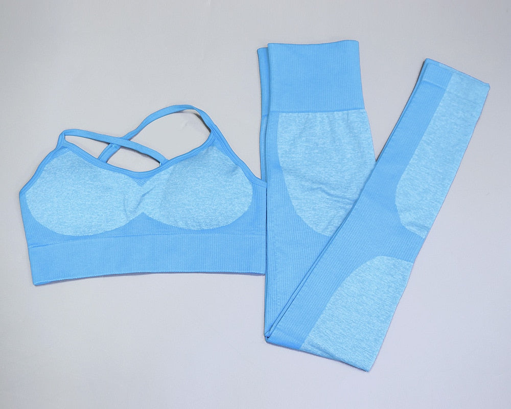 Seamless Fitness Bra & Leggings