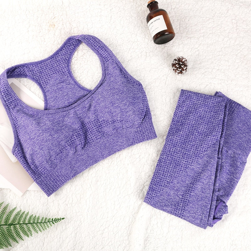 Seamless Fitness Bra & Leggings